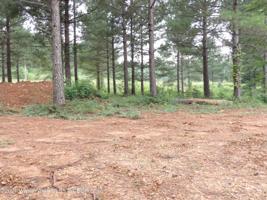 LOT 28 GRANDVIEW SHORES