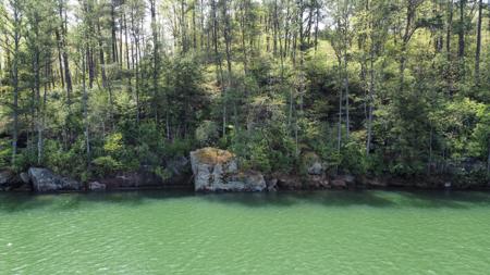 LOT 59 SIPSEY OVERLOOK