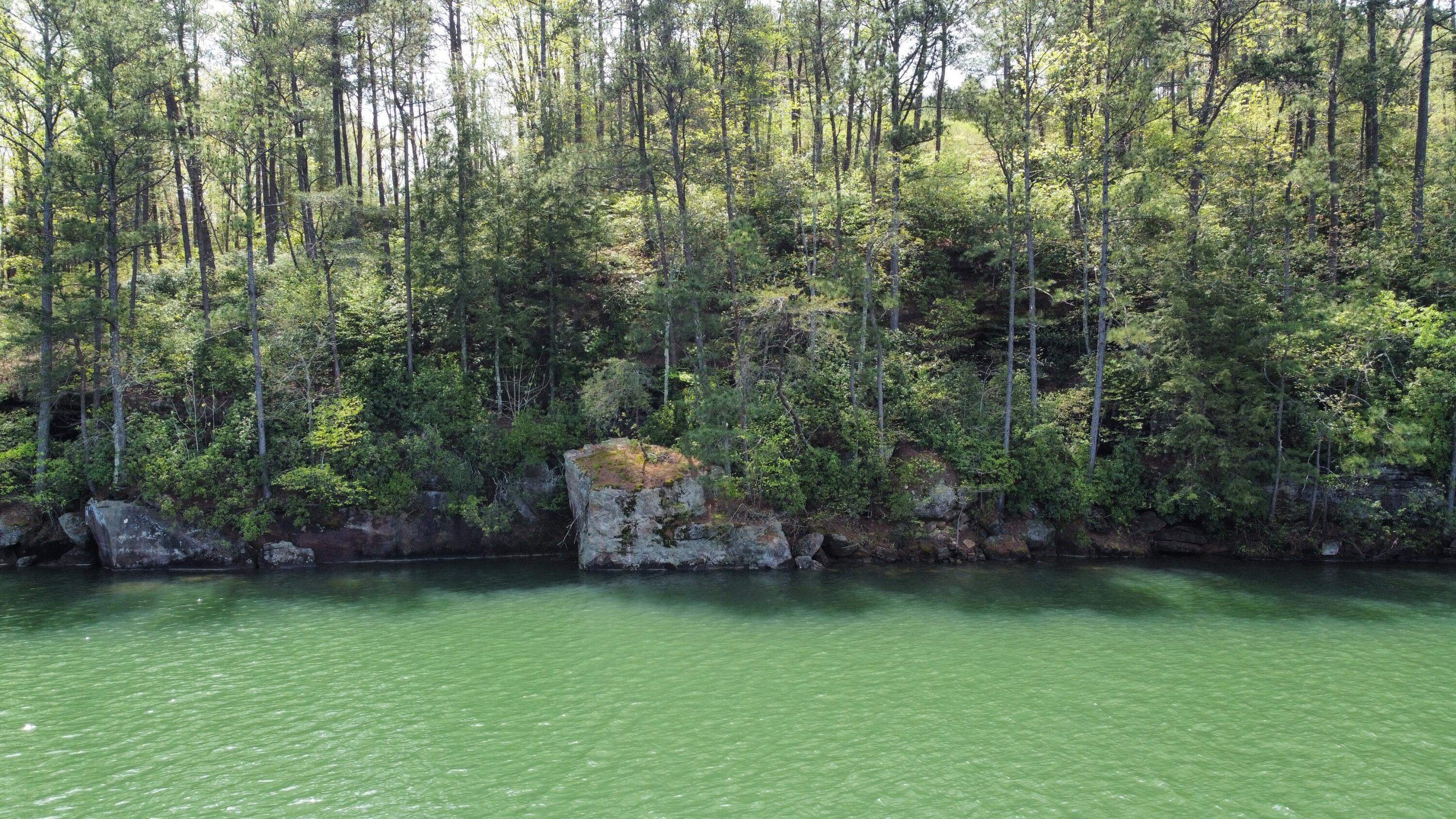 LOT 59 SIPSEY OVERLOOK, Double Springs, AL lhrmls02021371
