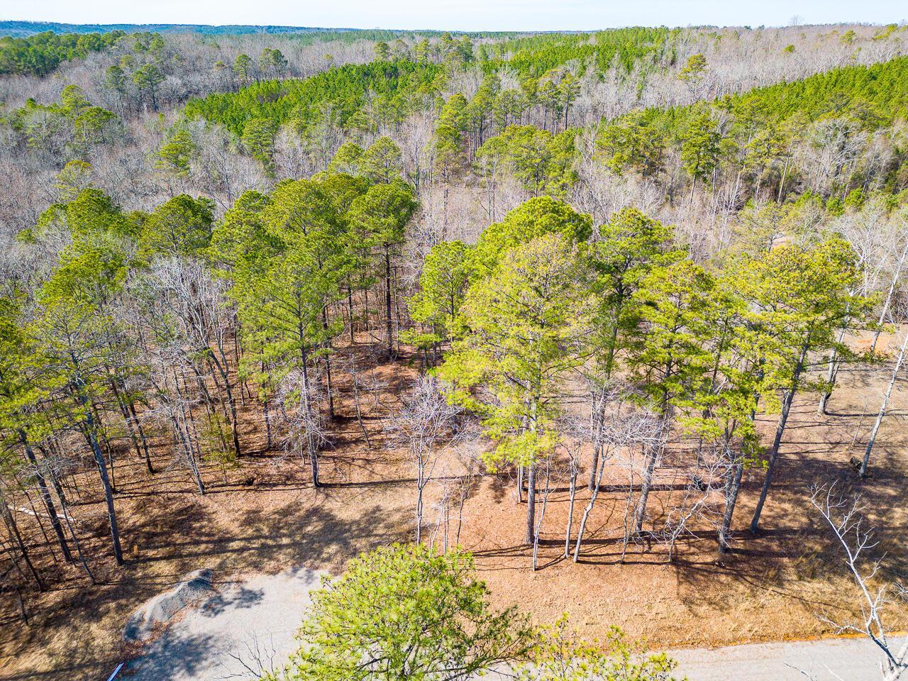 Image 1: White Oak Ridge-Lot 16-1