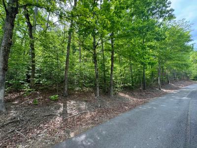 LOT 2 STONEBROOK COVE DR