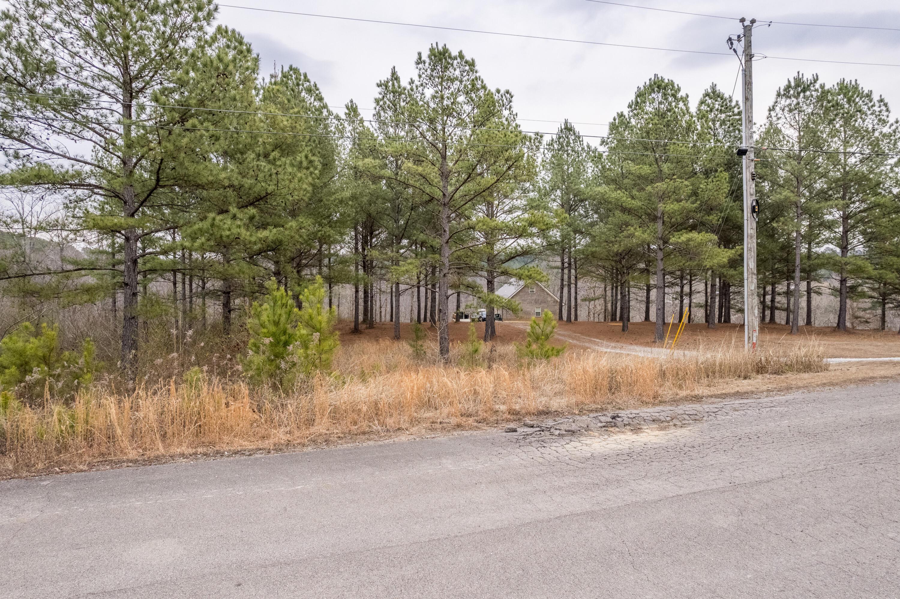 Image 3: Roadside