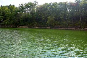 LOT 1 WHITE OAK LANDING