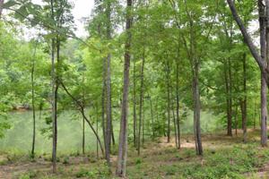 LOT 11 BANKHEAD SHORES