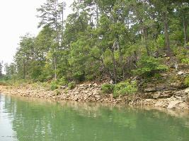 LOT 19 TIFFANY LANE