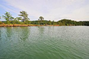 LONG LEAF Rd