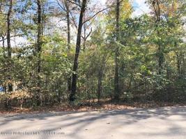 LOT 61 BLUE WATER POINTE Dr