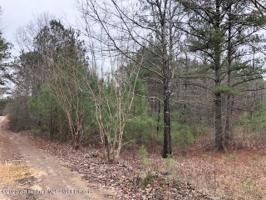 49 SONG BIRD ROAD