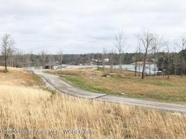 LOT 60 SIPSEY SHORES