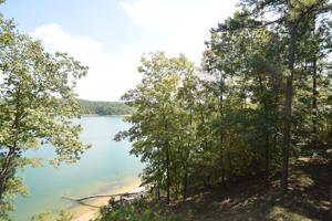 241 SWANN Dr
