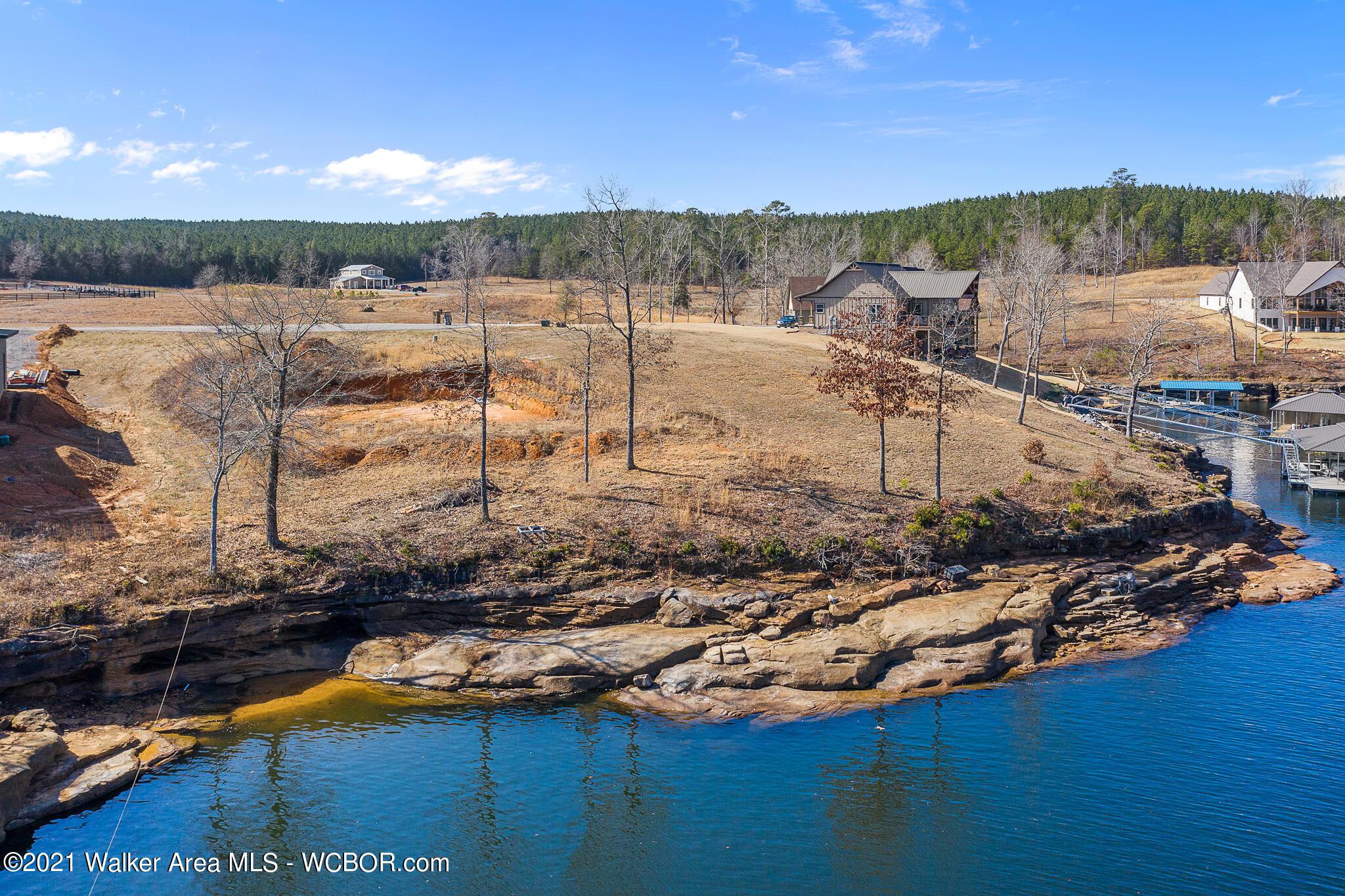 LOT 31 SIPSEY SHORES, Jasper, AL lhrmls00890856