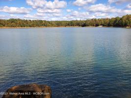 LOT 15&32 EAGLE POINTE LANDING