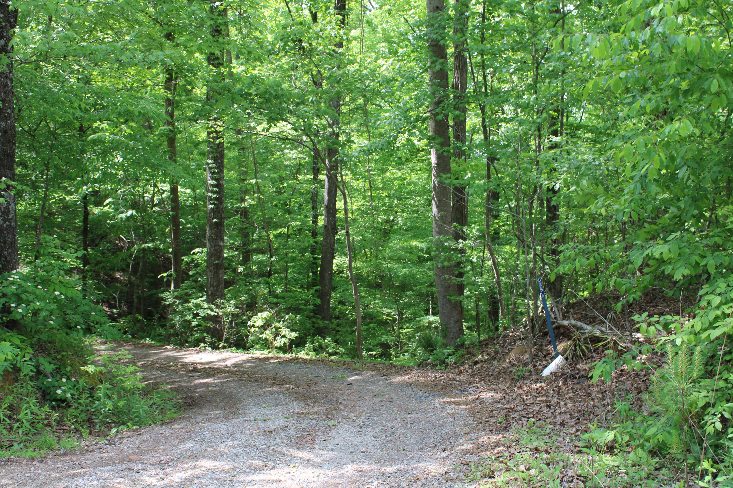 Image 4: IMG_1994