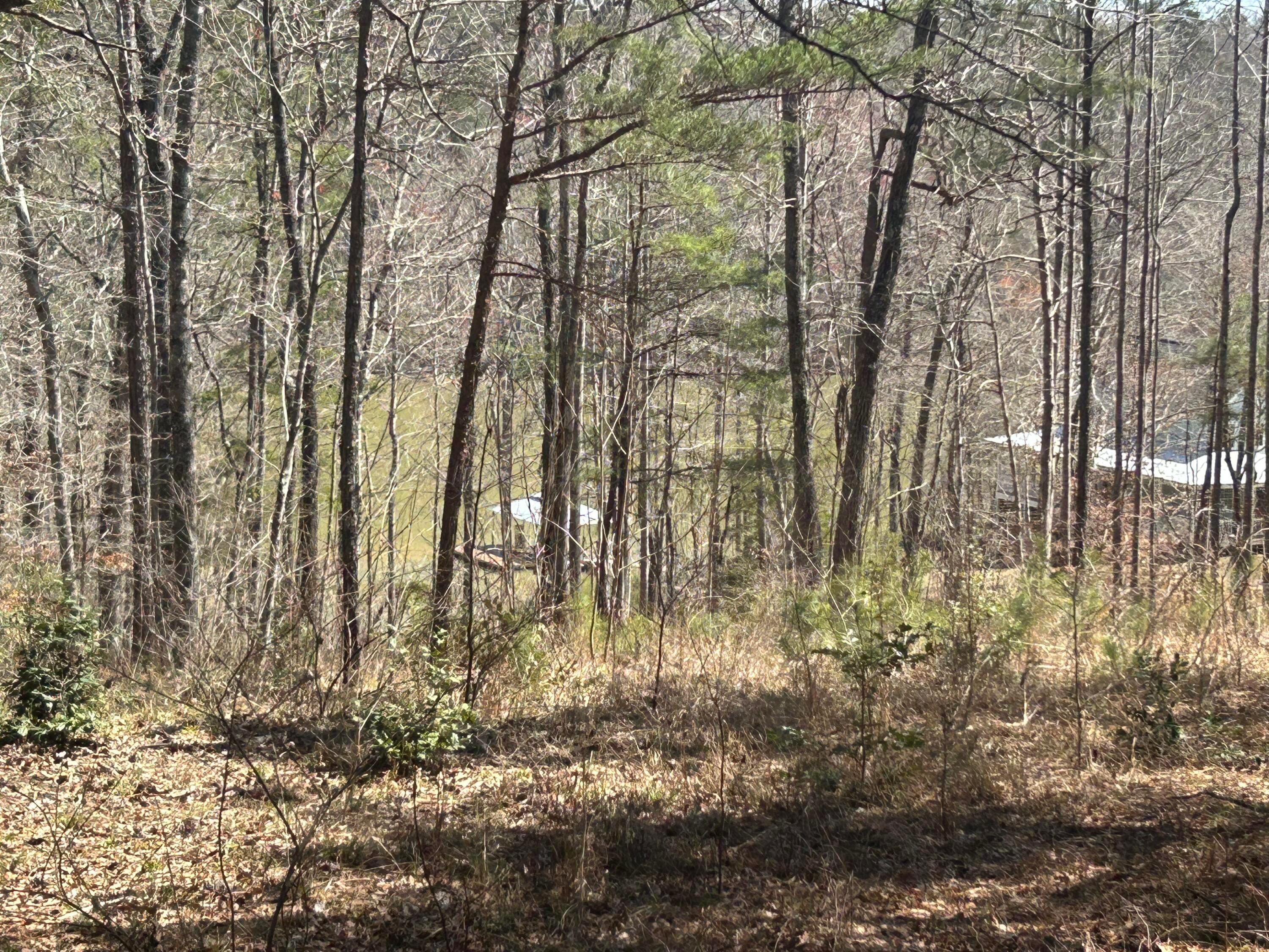 Image 3: 1-3