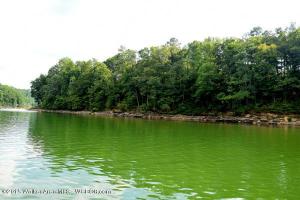 LOT 3 WHITE OAK LANDING