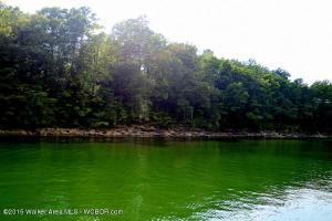 LOT 16 WHITE OAK LANDING