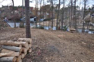 BEAR BRANCH COVE