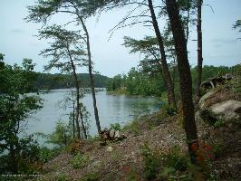LOT #113 SIPSEY OVERLOOK