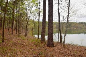 LOT 9 ARLEY LANDING