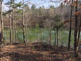 LOT 31 EMERALD VALLEY ESTATES