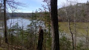 00 CO RD 214 LOT 20