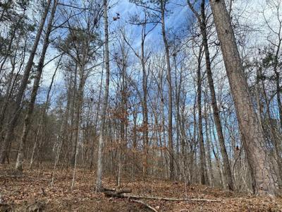 RACCOON BRANCH Rd