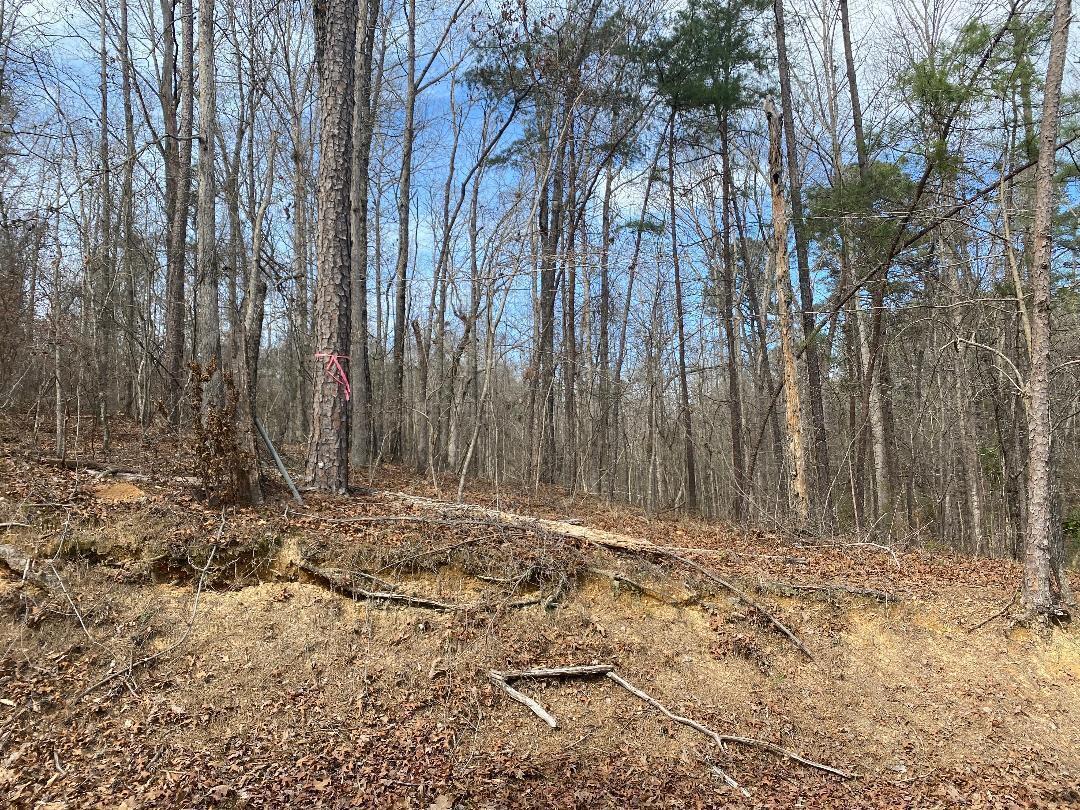 Image 2: Lot 12 Dailey's Clearview