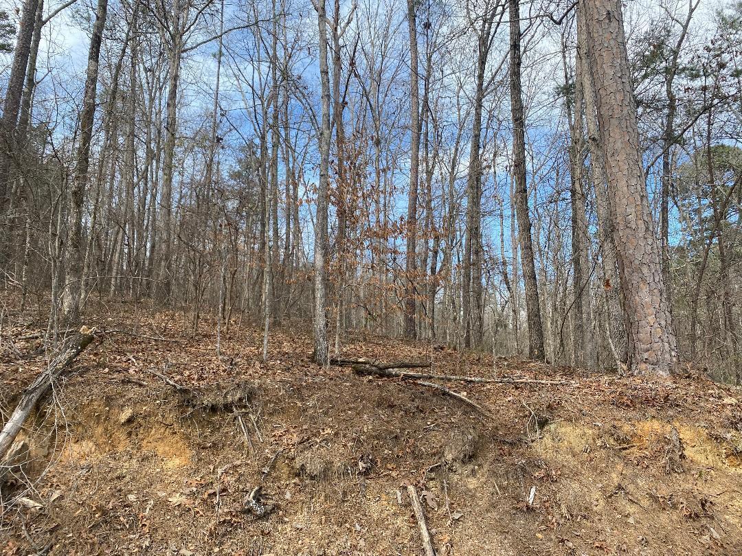 Image 3: Lot 12 Dailey's Clearview
