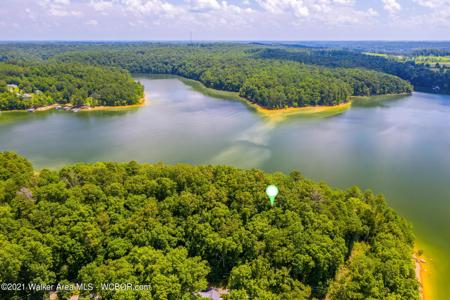 551 COUNTY ROAD 4001