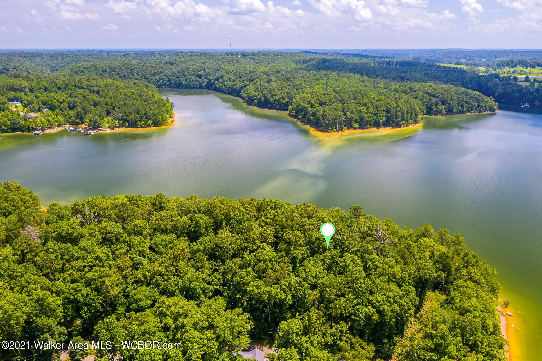Image 1: View