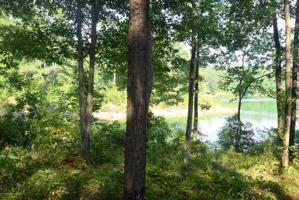 LOT 19 ARLEY LANDING