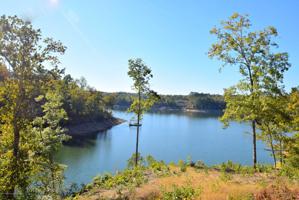 LOT 51 BRUSHY CREEK POINTE