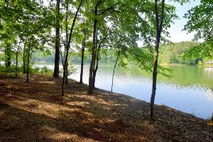 LOT 42 THE COVES AT CROOKED CREEK