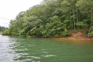 LOT 12 THE BLUFFS AT BRUSHY POND