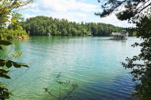 LOT 11 BRUSHY CREEK POINTE