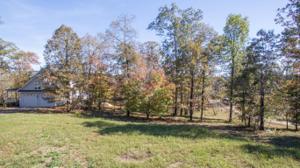 LOT 28 BRUSHY POINTE OVERLOOK