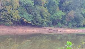 LOT 7 BANKHEAD SHORES