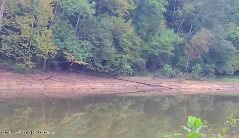 LOT 7 BANKHEAD SHORES, Double Springs, AL lhrmls00441209