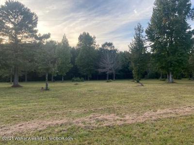 LOT 25 EAGLE POINTE LANDING