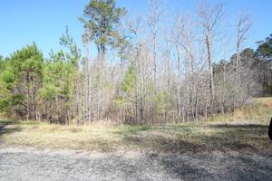 LOT 106 SIPSEY OVERLOOK