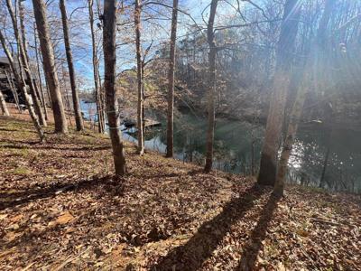 107 EAGLE CV Ln