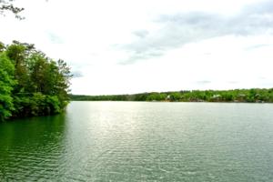 LOT 24 BRUSHY ESTATES
