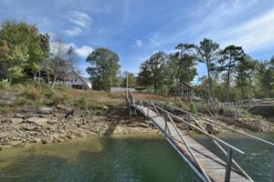 707 BEAR BRANCH PLACE