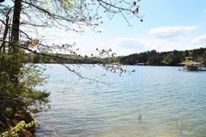 PARCEL 5 COUNTY ROAD 3914