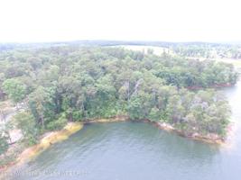PINEY WOODS Pl