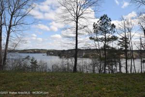 LOT 5 BEAR PEN CREEK