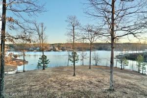LOT SIPSEY PINES