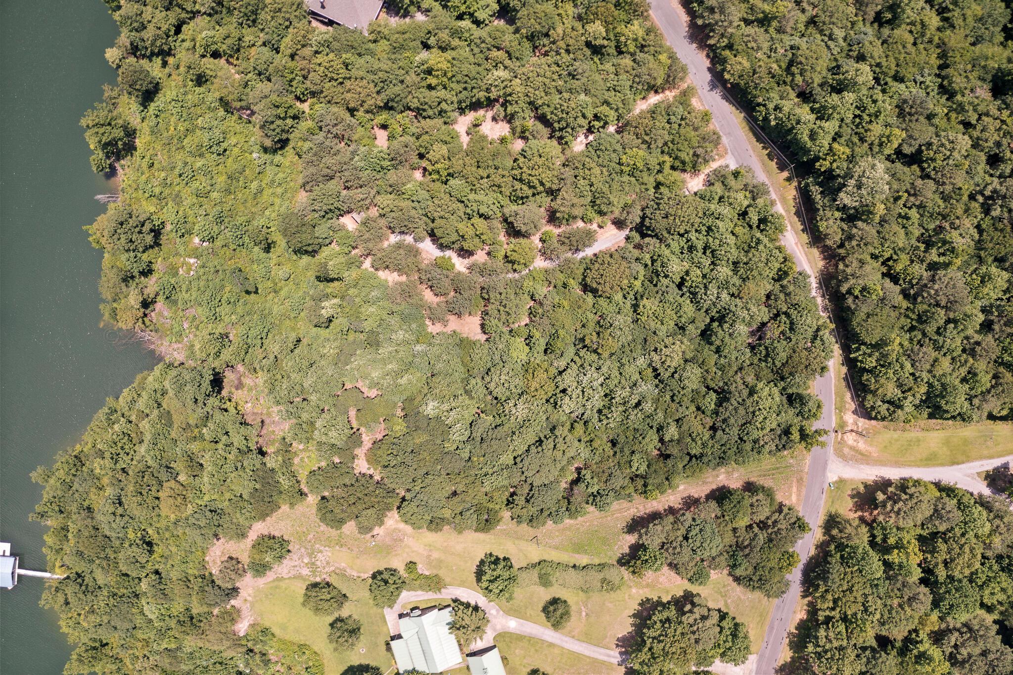Image 3: Above Aerial
