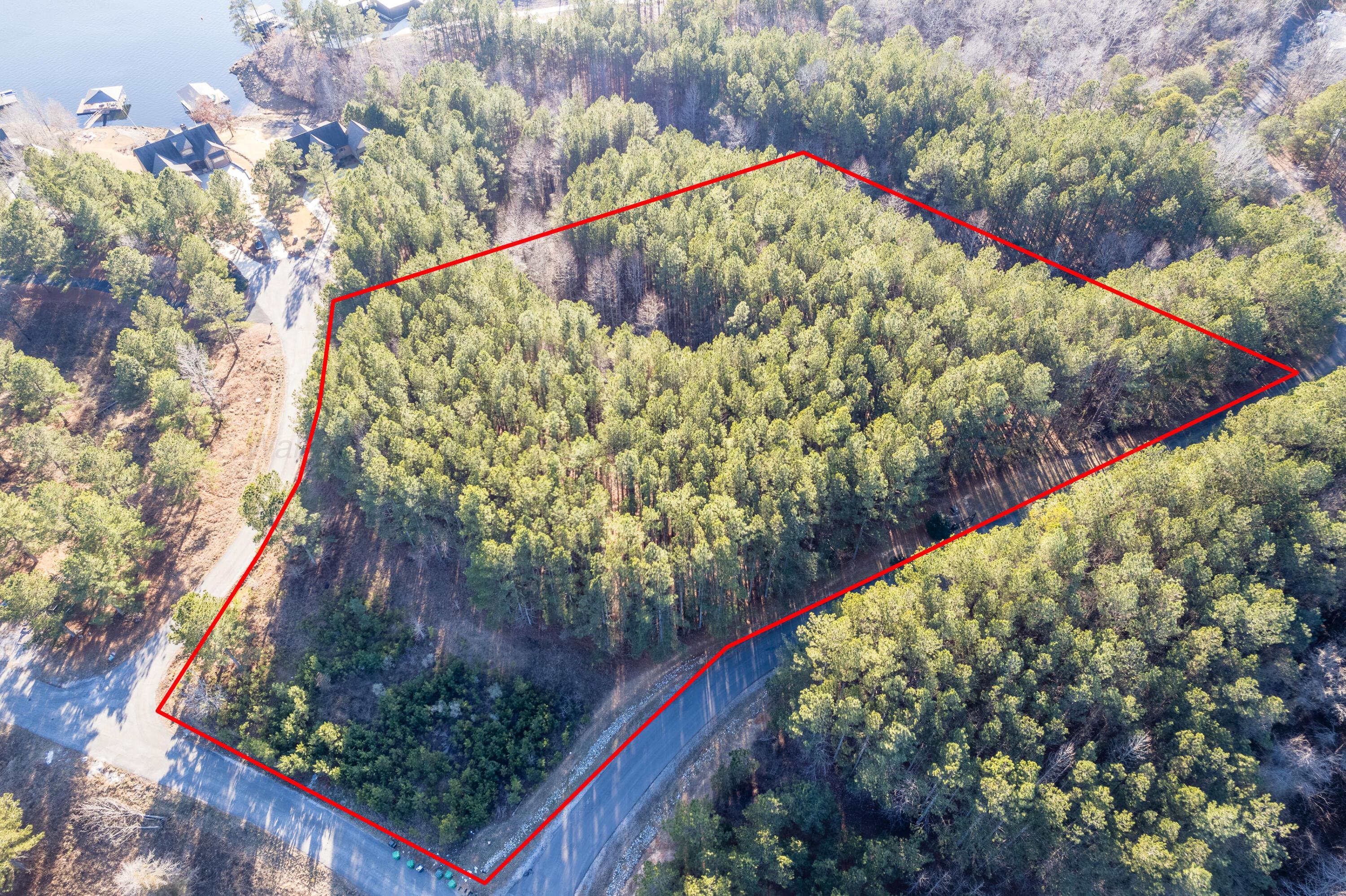 Image 2: Aerial Lot Lines