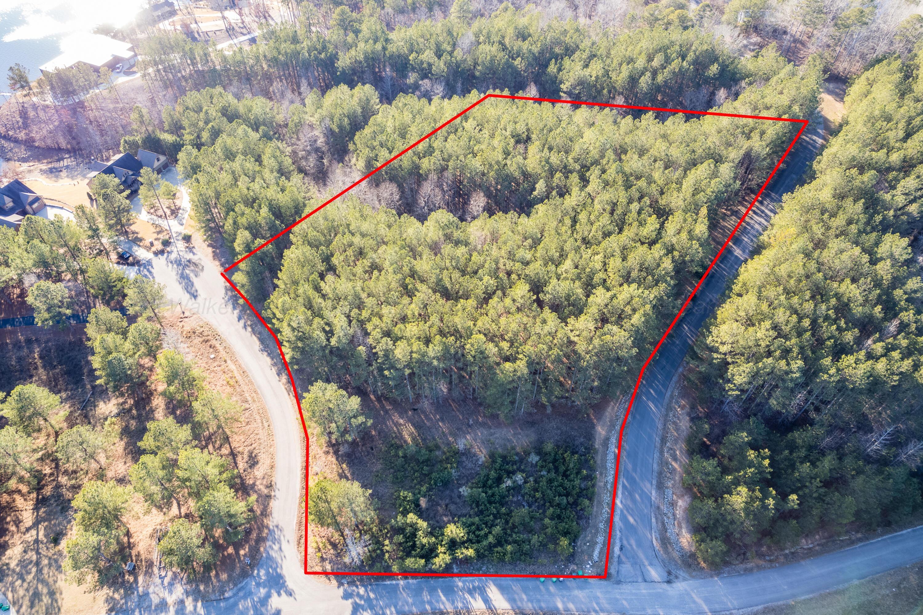 Image 3: Aerial Lot Lines